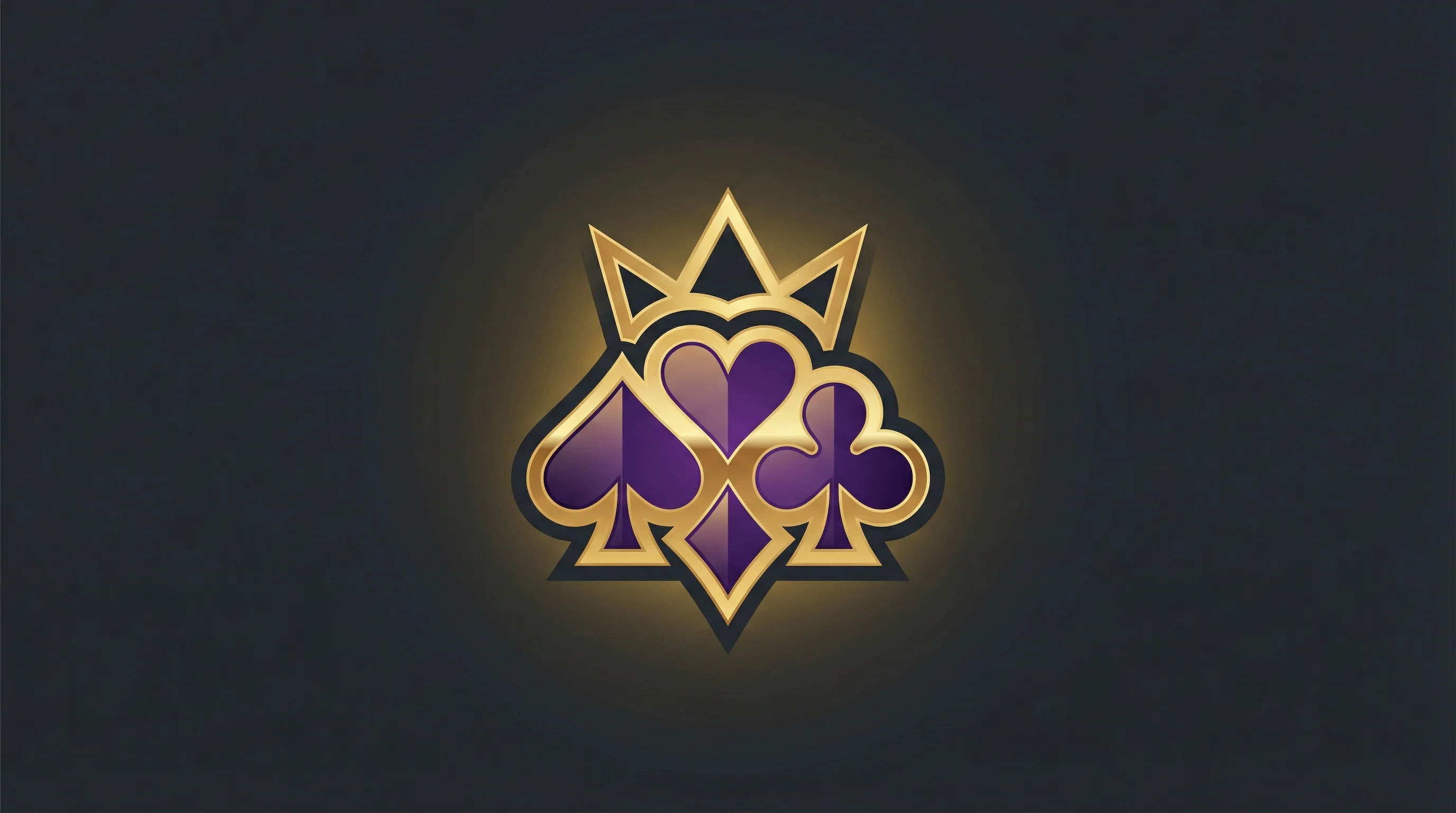 xingkong.com官方标志